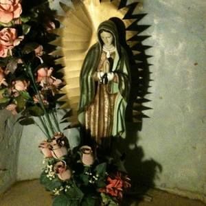 Meet your Posher, Mary